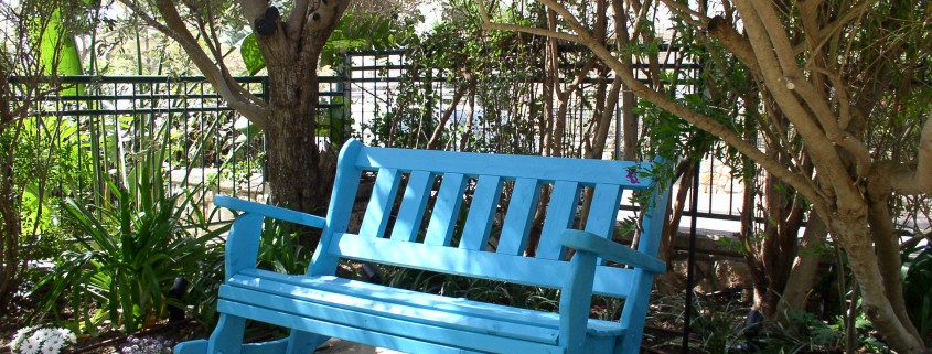 ספסל נדנדה כחול מתחת לעץ